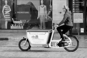 woman, cargo bike, means of transport
