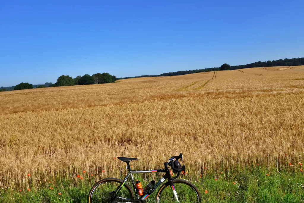 a bike parked in a field of wheat summer cycling bike